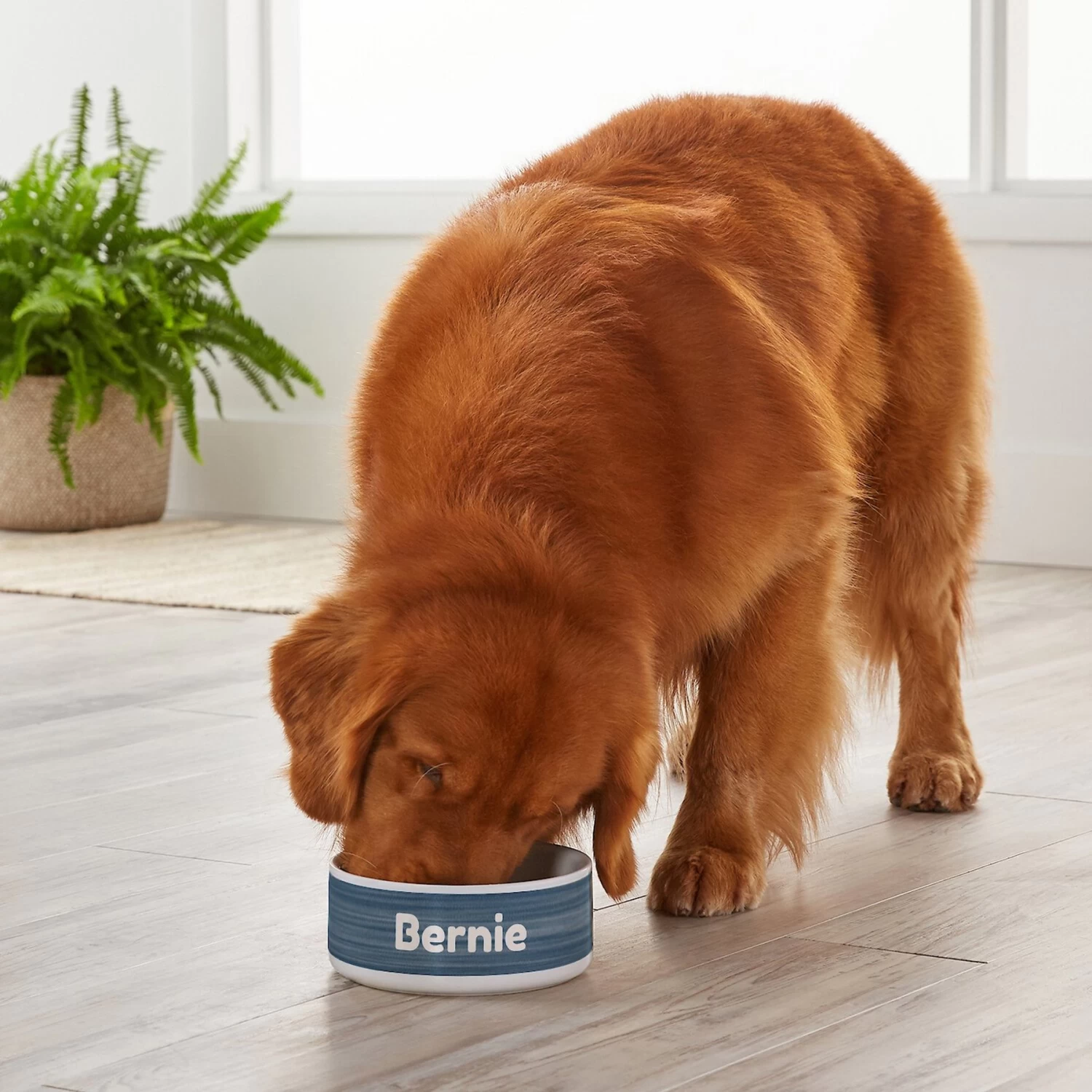 Frisco Personalized Heathered Ceramic Dog Bowl, 4.75-cup, 38oz 5 Frisco Personalized Heathered Ceramic Dog Bowl, 4.75-cup, 38oz - Image 5
