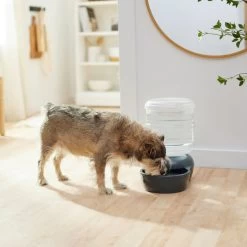 Frisco Wide Mouth Gravity Waterer -Pet Dog Supplies Shop 308945 PT4. AC SS1800 V1634318536
