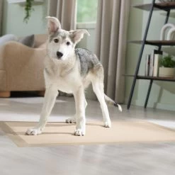 Frisco Giant Eco-Conscious Dog Training & Potty Pads -Pet Dog Supplies Shop 309794 PT6. AC SS1800 V1674666971