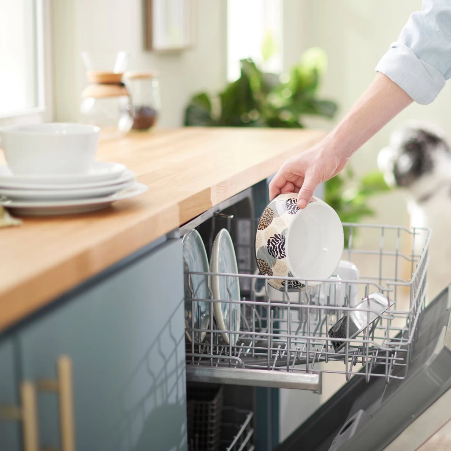 Frisco Animal Design Stainless Steel Dog & Cat Bowl 8 Frisco Animal Design Stainless Steel Dog & Cat Bowl - Image 8