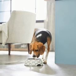 Frisco Moroccan Design Stainless Steel Dog & Cat Bowl -Pet Dog Supplies Shop 311963 PT2. AC SS1800 V1642542922