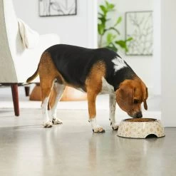 Frisco Circle Design Stainless Steel Dog & Cat Bowl -Pet Dog Supplies Shop 311969 PT2. AC SS1800 V1642542858