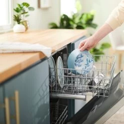 Frisco Coral Design Stainless Steel Dog & Cat Bowl -Pet Dog Supplies Shop 311972 PT7. AC SS1800 V1642543254