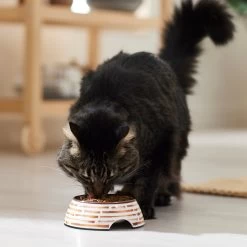 Frisco Copper Print Design Stainless Steel Dog & Cat Bowl -Pet Dog Supplies Shop 311975 PT3. AC SS1800 V1642542357