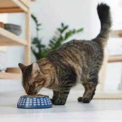 Frisco Leaf Design Stainless Steel Dog & Cat Bowl -Pet Dog Supplies Shop 311980 PT3. AC SS1800 V1642542556