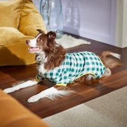 Frisco Boho Gingham Dog & Cat PJs 11 Frisco Boho Gingham Dog & Cat PJs -Pet Dog Supplies Shop 312272 PT8. AC SS1800 V1644880063