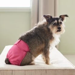 Frisco Washable Female Diaper 9 Frisco Washable Female Diaper -Pet Dog Supplies Shop 315702 PT3. AC SS1800 V1644885450