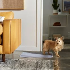 Frisco Washable Dog Potty Pads -Pet Dog Supplies Shop 315712 PT3. AC SS1800 V1644880410