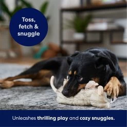 Frisco Realistic Opossum Plush Squeaky Dog Toy -Pet Dog Supplies Shop 316929 PT4. AC SS1800 V1695760990