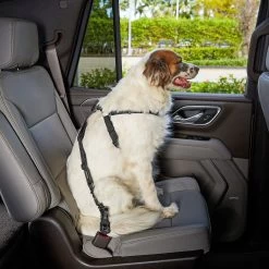 Frisco Adjustable Dog Seatbelt Tether & Frisco Quilted Water Resistant Bench Car Seat Cover 12 Frisco Adjustable Dog Seatbelt Tether & Frisco Quilted Water Resistant Bench Car Seat Cover -Pet Dog Supplies Shop 318966 PT3. AC SS1800 V1630360879