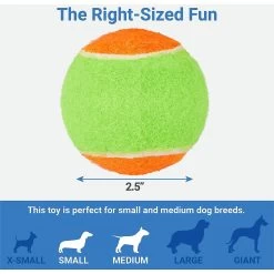 Frisco Fetch Squeaking Colorful Tennis Ball Dog Toy & Project Hive Pet Company Ball Dog Toy -Pet Dog Supplies Shop 319024 PT2. AC SS1800 V1630560689
