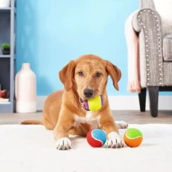 Frisco Fetch Squeaking Colorful Tennis Ball Dog Toy & Project Hive Pet Company Ball Dog Toy -Pet Dog Supplies Shop 319024 PT3. AC SS1800 V1630550869