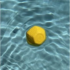 Frisco Fetch Squeaking Colorful Tennis Ball Dog Toy & Project Hive Pet Company Ball Dog Toy -Pet Dog Supplies Shop 319024 PT6. AC SS1800 V1630561577