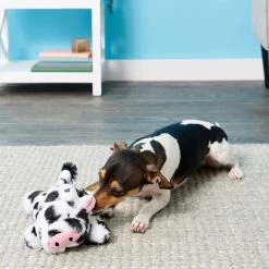 Frisco Cow Plush Squeaky Dog Toy & Playology Scented Dual Layer Ring Dog Toy -Pet Dog Supplies Shop 319488 PT3. AC SS1800 V1630626696