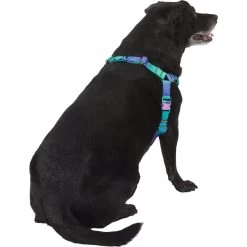 Frisco Green Ombre Style Dog Harness -Pet Dog Supplies Shop 324531 PT3. AC SS1800 V1642518631