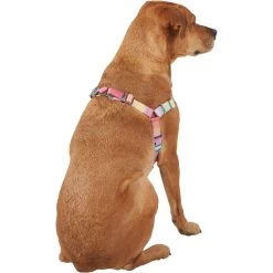 Frisco Pink Ombre Style Dog Harness -Pet Dog Supplies Shop 324537 PT3. AC SS1800 V1642519146
