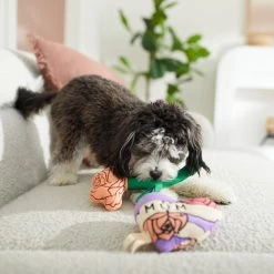 Frisco Mother's Day Rose & Heart Plush Squeaky Dog Toy, 2 Count -Pet Dog Supplies Shop 327033 PT3. AC SS1800 V1646947953