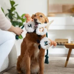 Frisco Mother's Day Gnomes Plush With Rope Squeaky Dog Toy 5 Frisco Mother's Day Gnomes Plush With Rope Squeaky Dog Toy -Pet Dog Supplies Shop 327037 PT3. AC SS1800 V1646948102