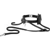 Frisco Outdoor Running Belt With Bungee Dog Leash