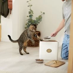 Frisco Premium Airtight Dog & Cat Food Storage Canister With Scoop -Pet Dog Supplies Shop 331486 PT3. AC SS1800 V1657656891