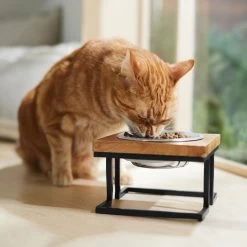 Frisco Premium Wood Elevated Single Dog & Cat Bowl 10 Frisco Premium Wood Elevated Single Dog & Cat Bowl -Pet Dog Supplies Shop 331493 PT3. AC SS1800 V1657656892