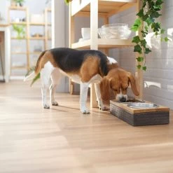 Frisco Premium Stainless Steel Double Diner Dog & Cat Bowl, Black -Pet Dog Supplies Shop 331532 PT2. AC SS1800 V1657656874