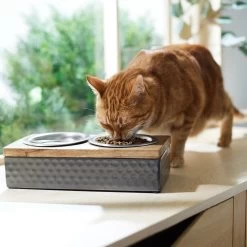 Frisco Premium Stainless Steel Double Diner Dog & Cat Bowl, Black -Pet Dog Supplies Shop 331532 PT3. AC SS1800 V1657656874