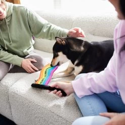 Frisco Pride Flag Flat Squeaky Dog Toy -Pet Dog Supplies Shop 331640 PT3. AC SS1800 V1647355852