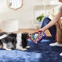 Frisco Pride Rainbow Plush With Rope Squeaky Dog Toy 5 Frisco Pride Rainbow Plush With Rope Squeaky Dog Toy -Pet Dog Supplies Shop 331653 PT3. AC SS1800 V1647356026