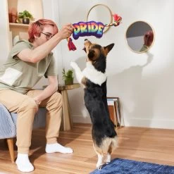 Frisco Pride Plush With Rope Squeaky Dog Toy -Pet Dog Supplies Shop 331661 PT3. AC SS1800 V1647356002