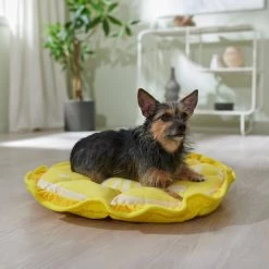Pet Dog Supplies Shop 17 Frisco Lemon Adjustable Cat & Dog Bolster Bed
