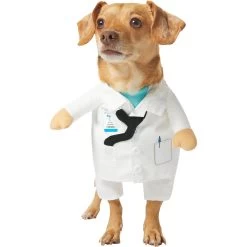 Frisco Front Walking Doctor Dog & Cat Costume