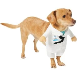 Frisco Front Walking Doctor Dog & Cat Costume -Pet Dog Supplies Shop 334900 PT3. AC SS1800 V1658344549