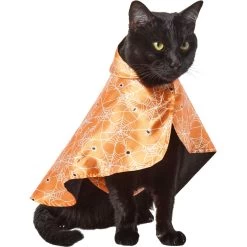 Frisco Spider Webbed Dog & Cat Costume Cape -Pet Dog Supplies Shop 334972 PT2. AC SS1800 V1658348259