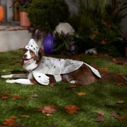 Frisco Seal Dog & Cat Costume -Pet Dog Supplies Shop 334983 PT7. AC SS1800 V1657730462