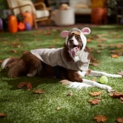 Frisco Hedgehog Dog & Cat Costume -Pet Dog Supplies Shop 334990 PT7. AC SS1800 V1657732628