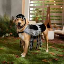 Frisco Spider Dog & Cat Costume -Pet Dog Supplies Shop 335017 PT7. AC SS1800 V1657834853
