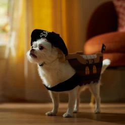 Frisco Pirate Ship Dog & Cat Costume 12 Frisco Pirate Ship Dog & Cat Costume -Pet Dog Supplies Shop 335078 PT7. AC SS1800 V1657656881