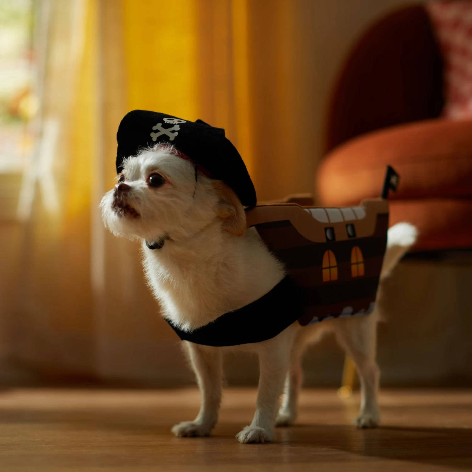 Frisco Pirate Ship Dog & Cat Costume 6 Frisco Pirate Ship Dog & Cat Costume - Image 6