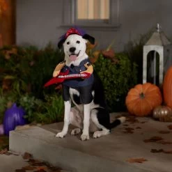 Frisco Front Walking Punk Rocker Dog & Cat Costume 14 Frisco Front Walking Punk Rocker Dog & Cat Costume -Pet Dog Supplies Shop 335087 PT7. AC SS1800 V1657732627