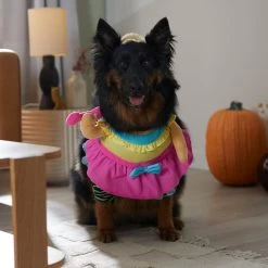 Frisco Front Walking Workout Girl Dog & Cat Costume -Pet Dog Supplies Shop 335111 PT7. AC SS1800 V1657656881