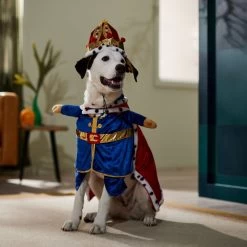 Frisco Front Walking Royal King Dog & Cat Costume -Pet Dog Supplies Shop 335127 PT7. AC SS1800 V1659037728