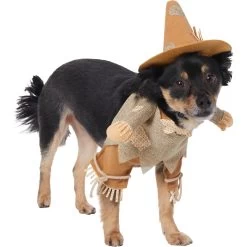 Frisco Front Walking Scarecrow Dog & Cat Costume -Pet Dog Supplies Shop 335135 PT3. AC SS1800 V1658349680