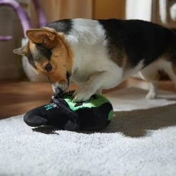 Frisco Halloween Bad Witch Round Plush Squeaky Dog Toy -Pet Dog Supplies Shop 344006 PT3. AC SS1800 V1657657029