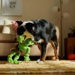 Frisco Halloween Goblin Plush With Rope Squeaky Dog Toy -Pet Dog Supplies Shop 344132 PT3. AC SS1800 V1657657042