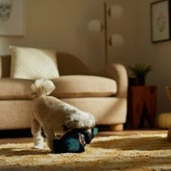 Frisco Halloween Lantern Ballistic Nylon Plush Squeaky Dog Toy 7 Frisco Halloween Lantern Ballistic Nylon Plush Squeaky Dog Toy -Pet Dog Supplies Shop 344138 PT3. AC SS1800 V1657657042