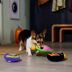 Frisco Halloween Potion Bottles Plush Squeaky Dog Toy 7 Frisco Halloween Potion Bottles Plush Squeaky Dog Toy -Pet Dog Supplies Shop 344144 PT3. AC SS1800 V1657657048