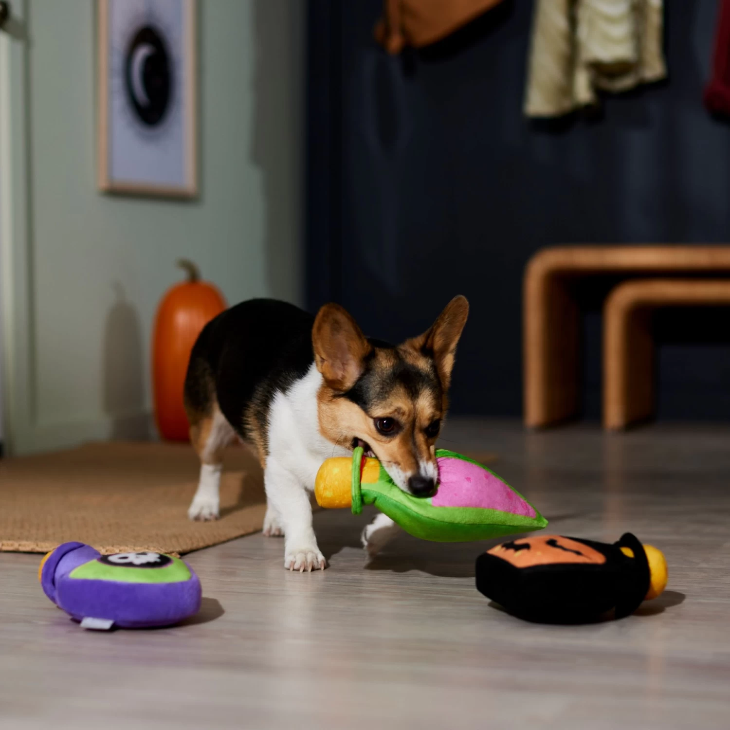 Frisco Halloween Potion Bottles Plush Squeaky Dog Toy 3 Frisco Halloween Potion Bottles Plush Squeaky Dog Toy - Image 3