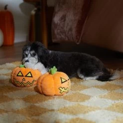 Frisco Halloween Scary Jack-O-Lantern Plush Squeaky Dog Toy 7 Frisco Halloween Scary Jack-O-Lantern Plush Squeaky Dog Toy -Pet Dog Supplies Shop 344158 PT3. AC SS1800 V1657657048