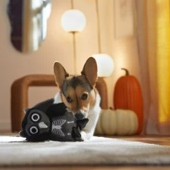 Frisco Halloween Spooky Owl Plush Squeaky Dog Toy -Pet Dog Supplies Shop 344162 PT3. AC SS1800 V1657657049